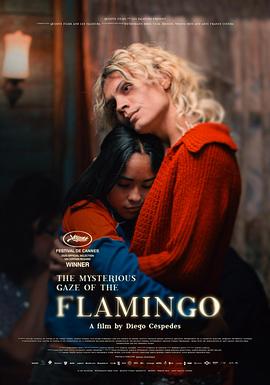 弗拉明戈的神秘眼神
